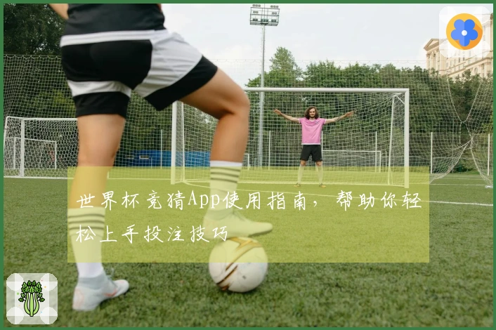 世界杯竞猜App使用指南，帮助你轻松上手投注技巧