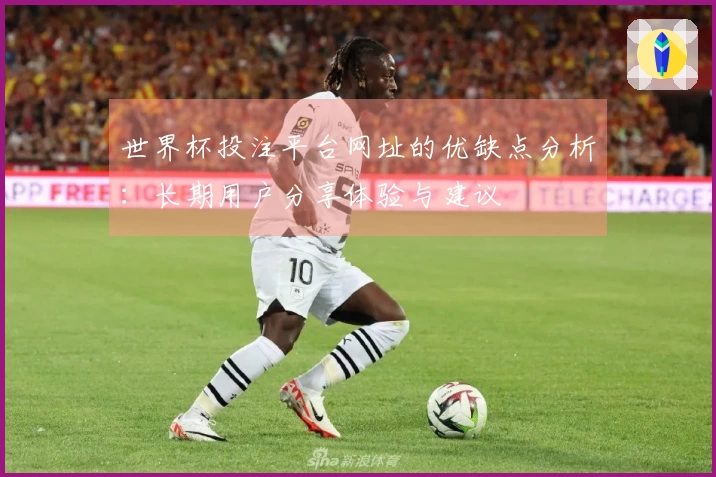 世界杯投注平台网址的优缺点分析：长期用户分享体验与建议