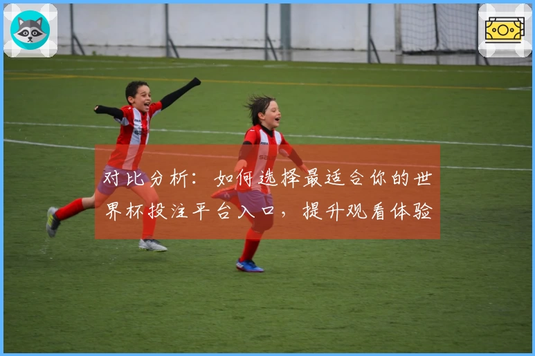 对比分析：如何选择最适合你的世界杯投注平台入口，提升观看体验与参与感