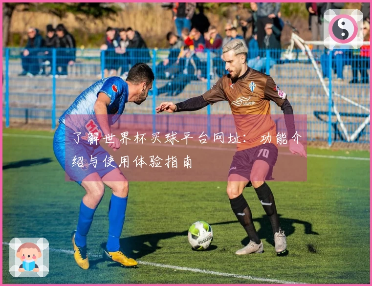 了解世界杯买球平台网址：功能介绍与使用体验指南