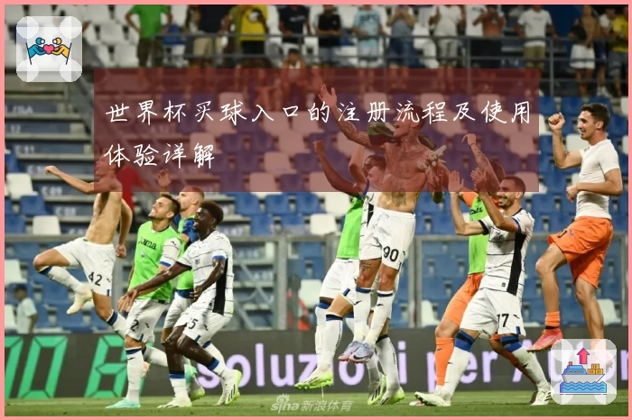 世界杯买球入口的注册流程及使用体验详解