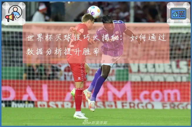 世界杯买球技巧大揭秘:如何通过数据分析提升胜率