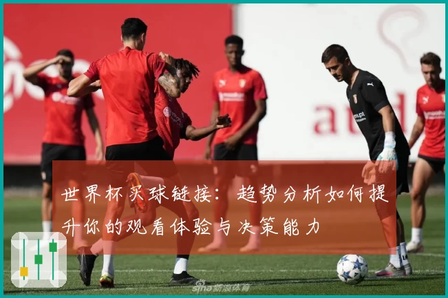 世界杯买球链接：趋势分析如何提升你的观看体验与决策能力