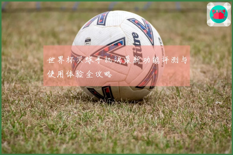 世界杯买球手机端最新功能评测与使用体验全攻略