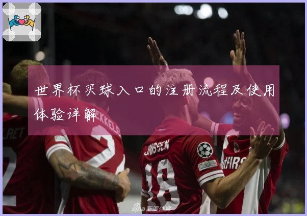 世界杯买球入口的注册流程及使用体验详解