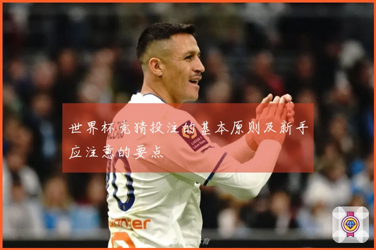 世界杯竞猜投注的基本原则及新手应注意的要点