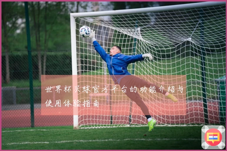 世界杯买球官方平台的功能介绍与使用体验指南