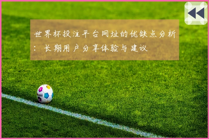 世界杯投注平台网址的优缺点分析：长期用户分享体验与建议