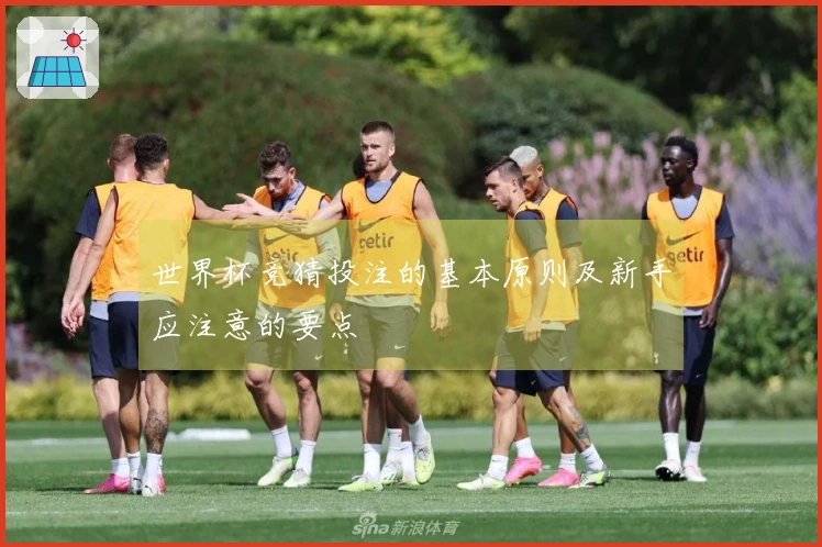 世界杯竞猜投注的基本原则及新手应注意的要点