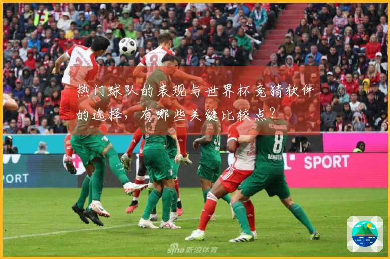 热门球队的表现与世界杯竞猜软件的选择，有哪些关键比较点？