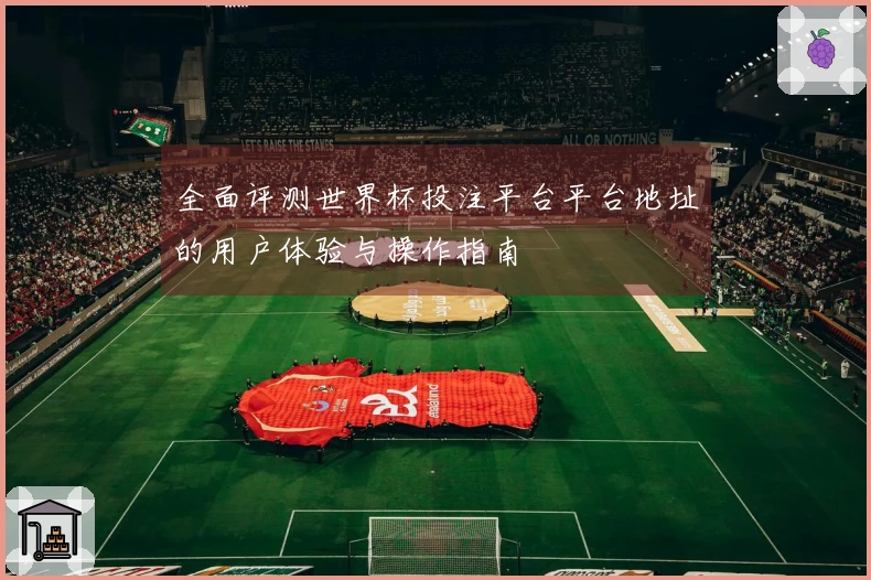 全面评测世界杯投注平台平台地址的用户体验与操作指南